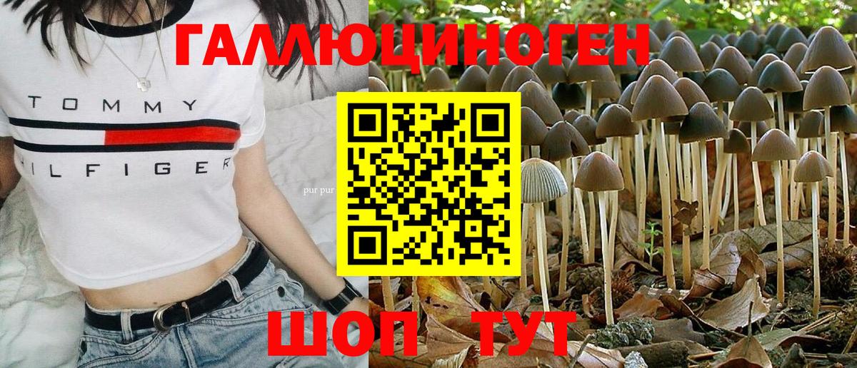 Псилоцибиновые грибы Psilocybe  Псилоцибиновые грибы Psilocybine cubensis  Вход с VPN  Городец 