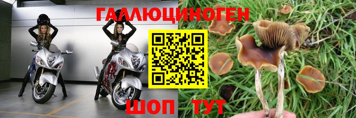 Галлюциногенные грибы GOLDEN TEACHER Городец