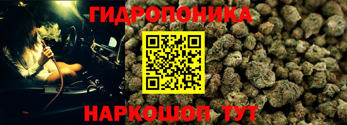 Бошки марихуана VHQ Городец